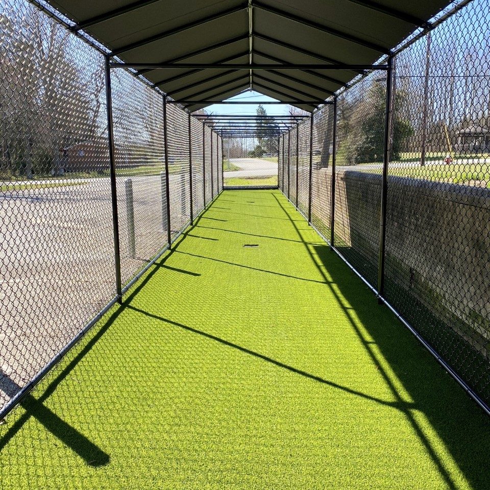 Outdoor space for dog boarding at Archdale Animal Clinic