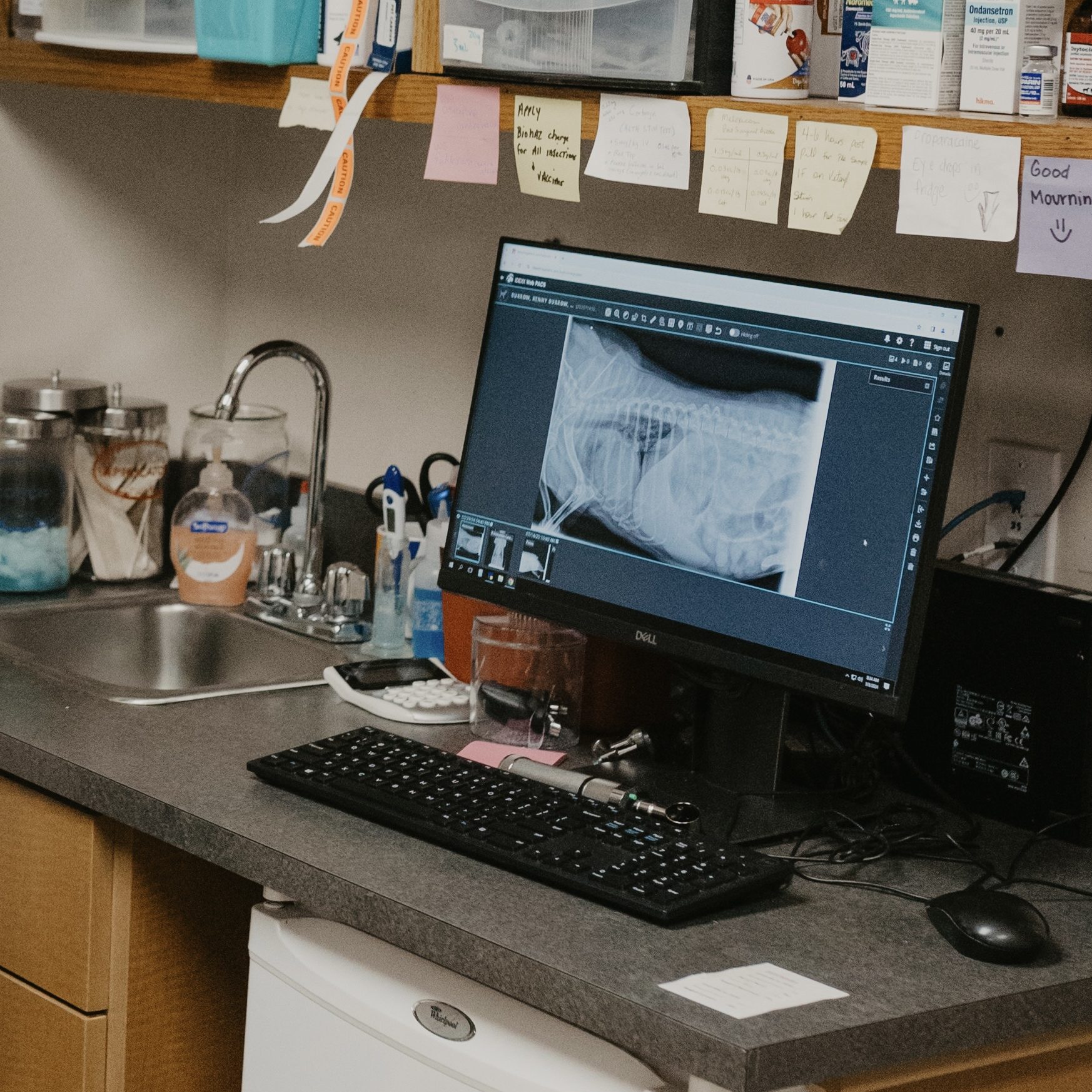 D6A33EF7-6246-48C8-8452-25B7D93923A4_1_201_a